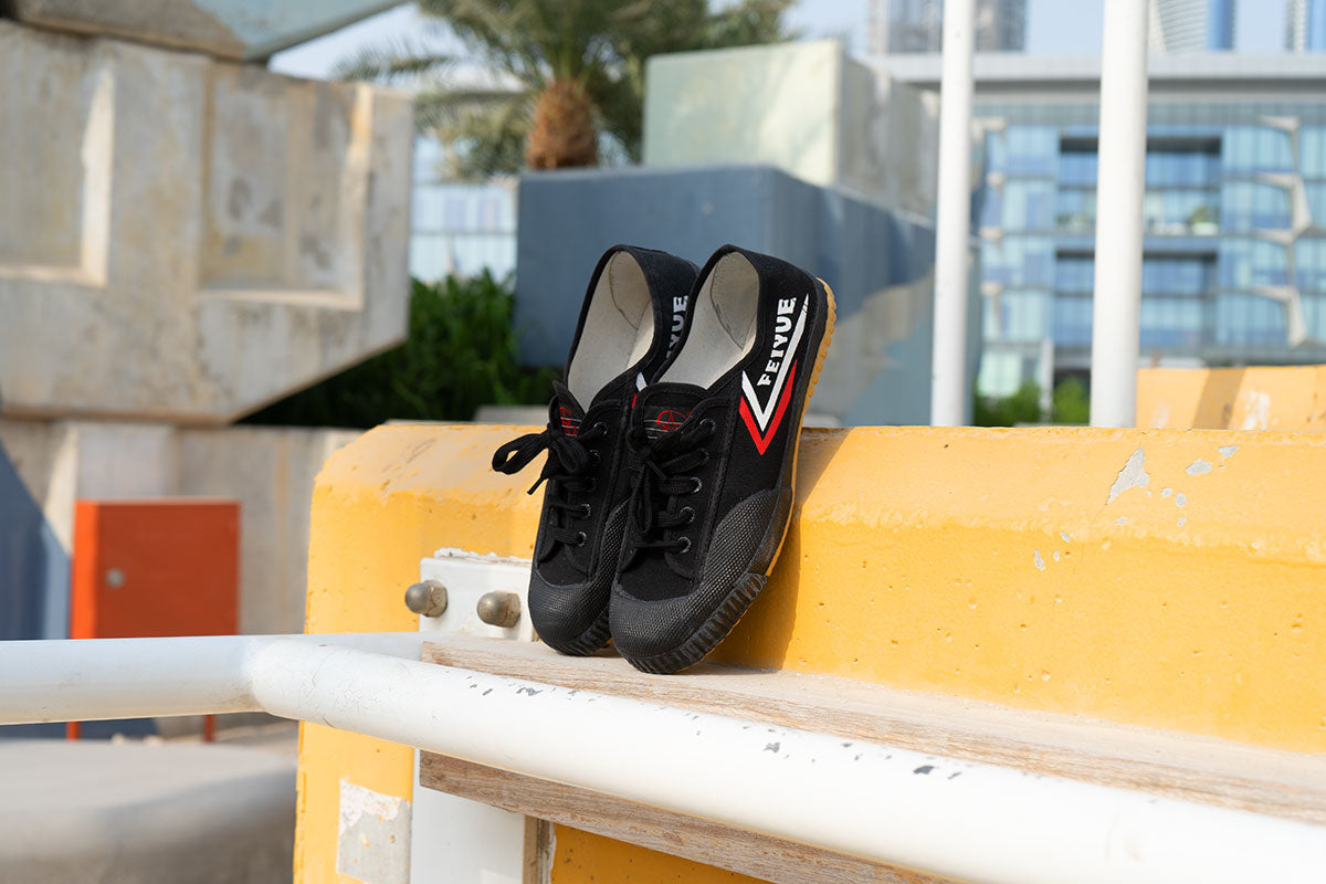 Feiyue Martial Arts Shoes