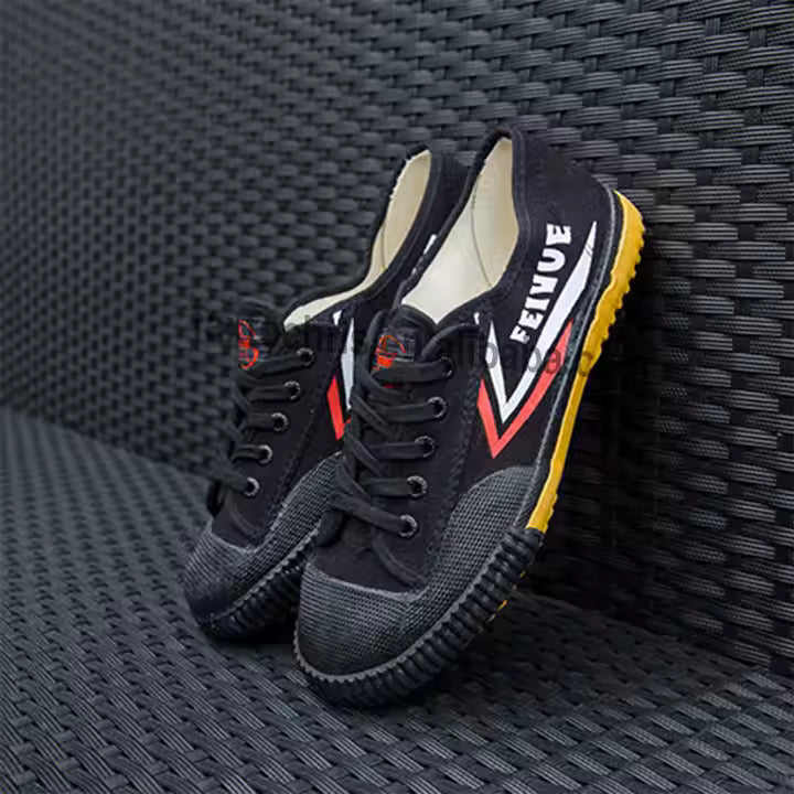 Feiyue Martial Arts Shoes