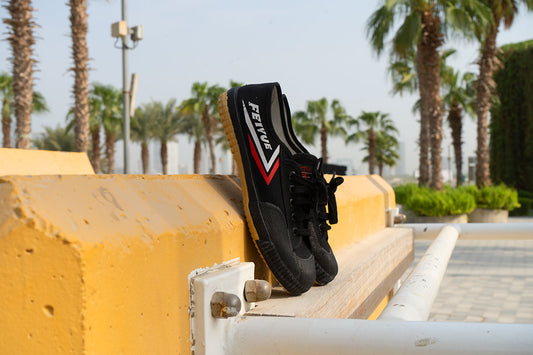 Feiyue Martial Arts Shoes
