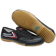 Feiyue Martial Arts Shoes