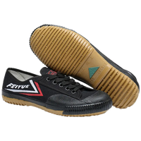 Feiyue Martial Arts Shoes